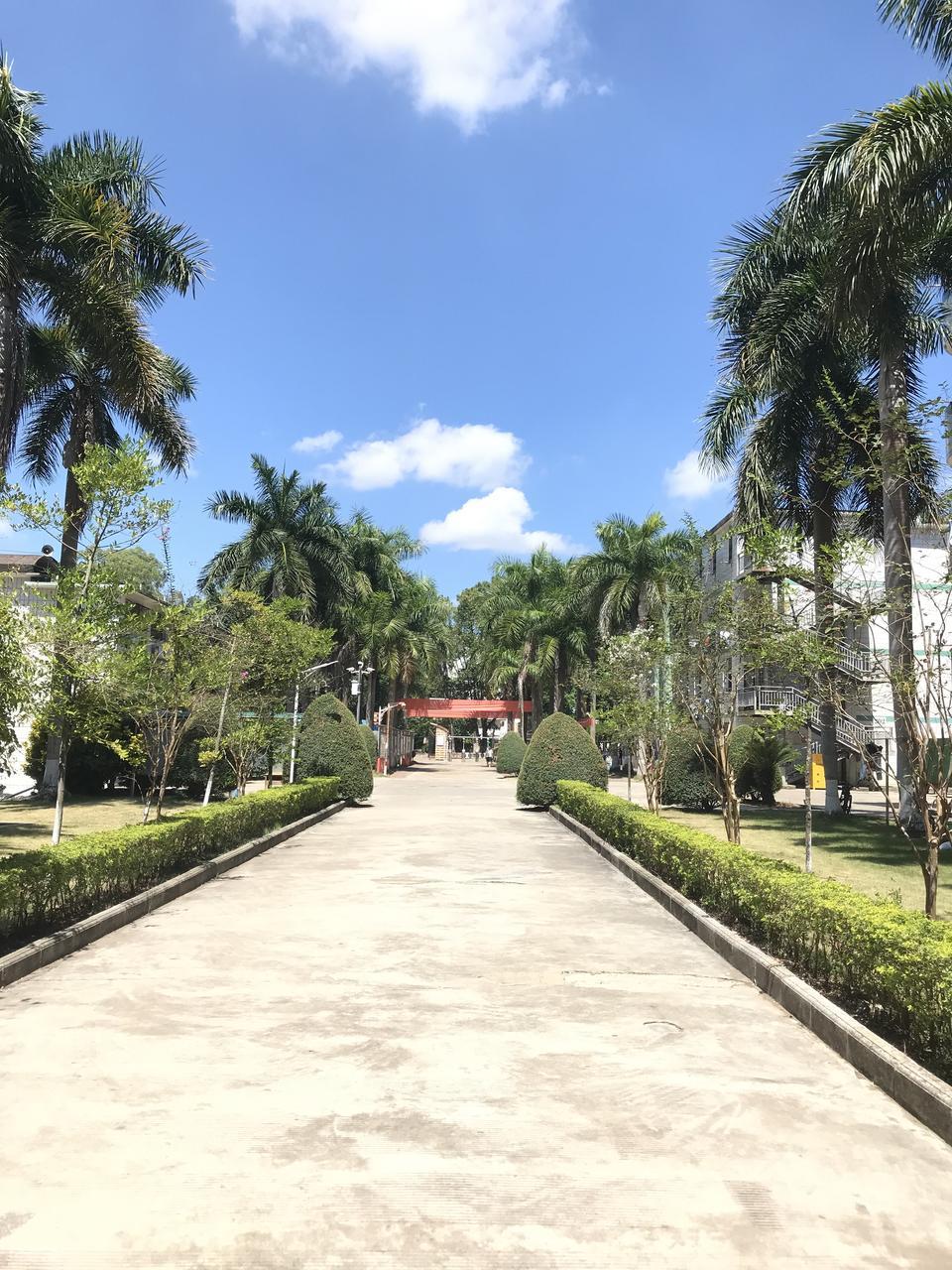 黎明职业大学录取分数线_2026年江汉大学专科录取分数线(2026各省份录取分数线及位次排名)_黎明职业大学介绍与报考指南