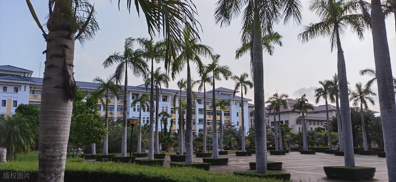 2026年江汉大学专科录取分数线(2026各省份录取分数线及位次排名)_黎明职业大学介绍与报考指南_黎明职业大学录取分数线